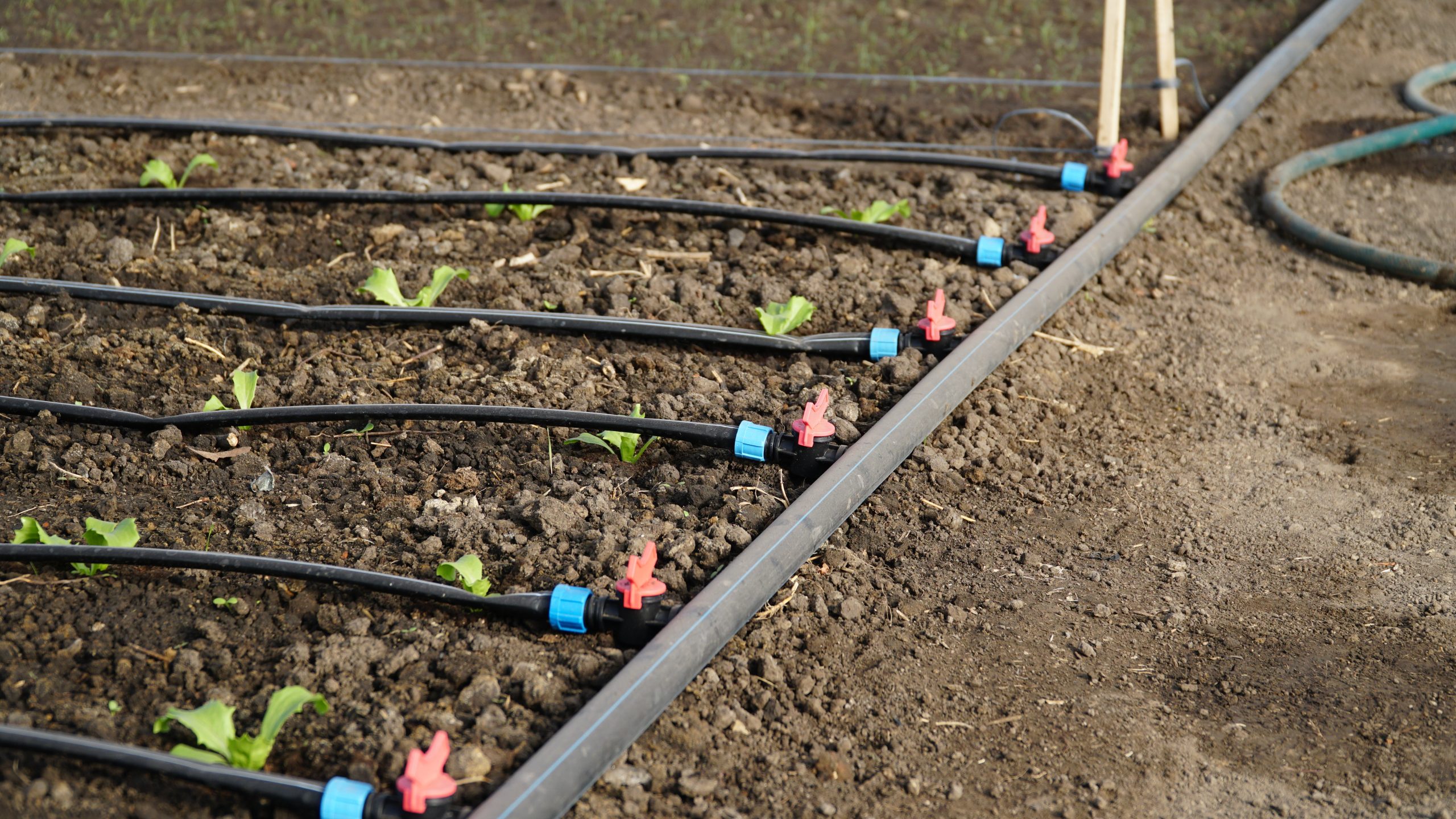 Drip irrigation Design