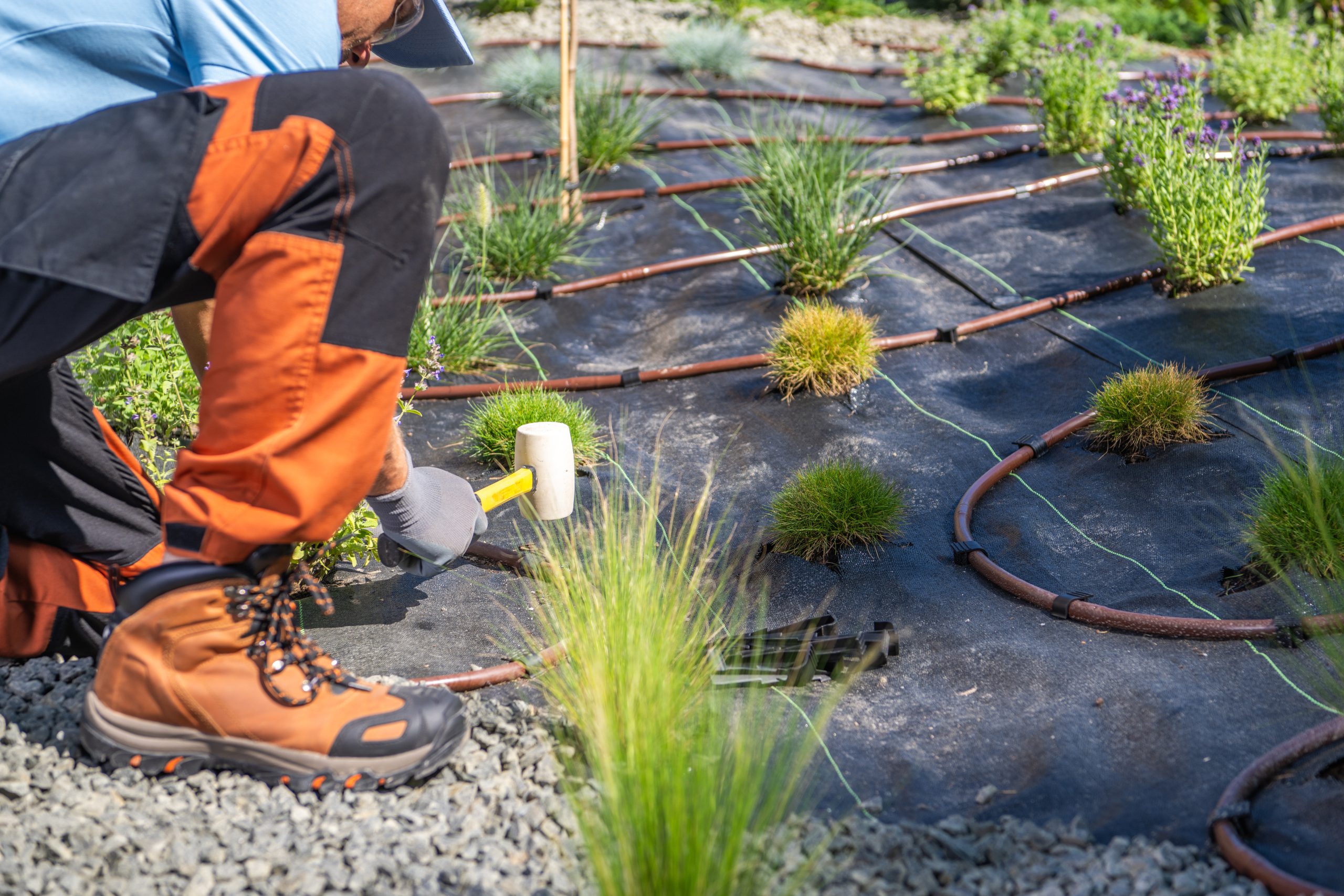 Ongoing Drip Irrigation Maintenance