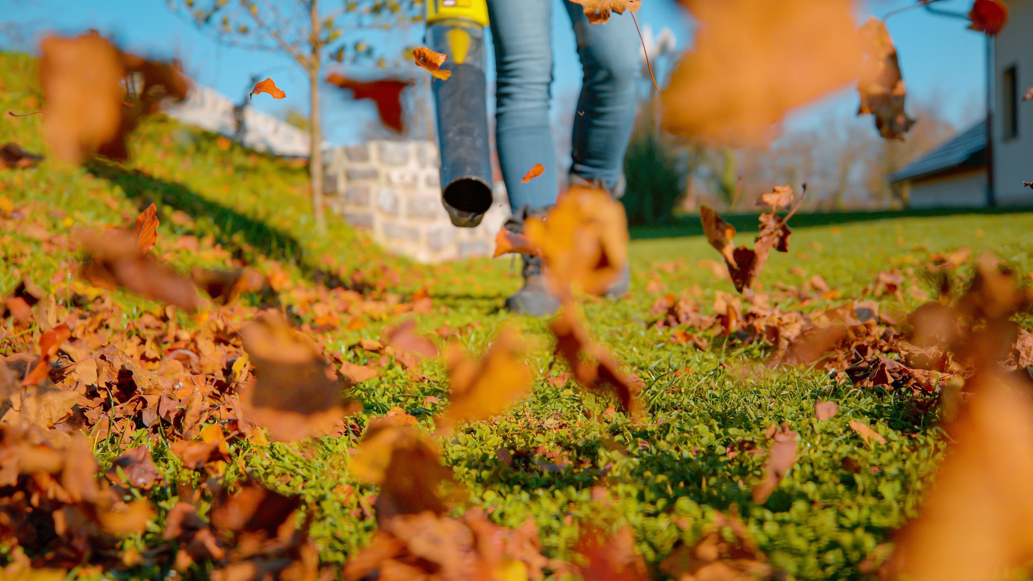 Seasonal Clean-Up